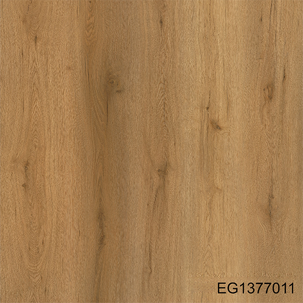 EG1377011