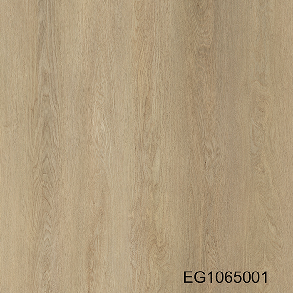 EG1065001