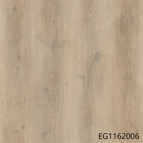 EG1162006