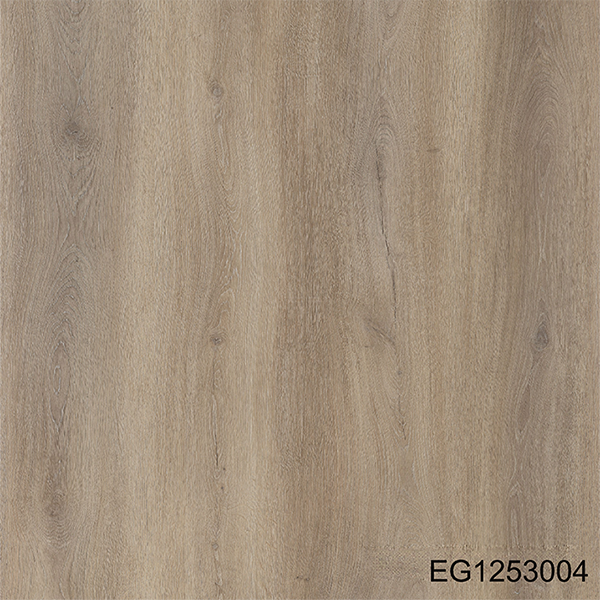 EG1253004